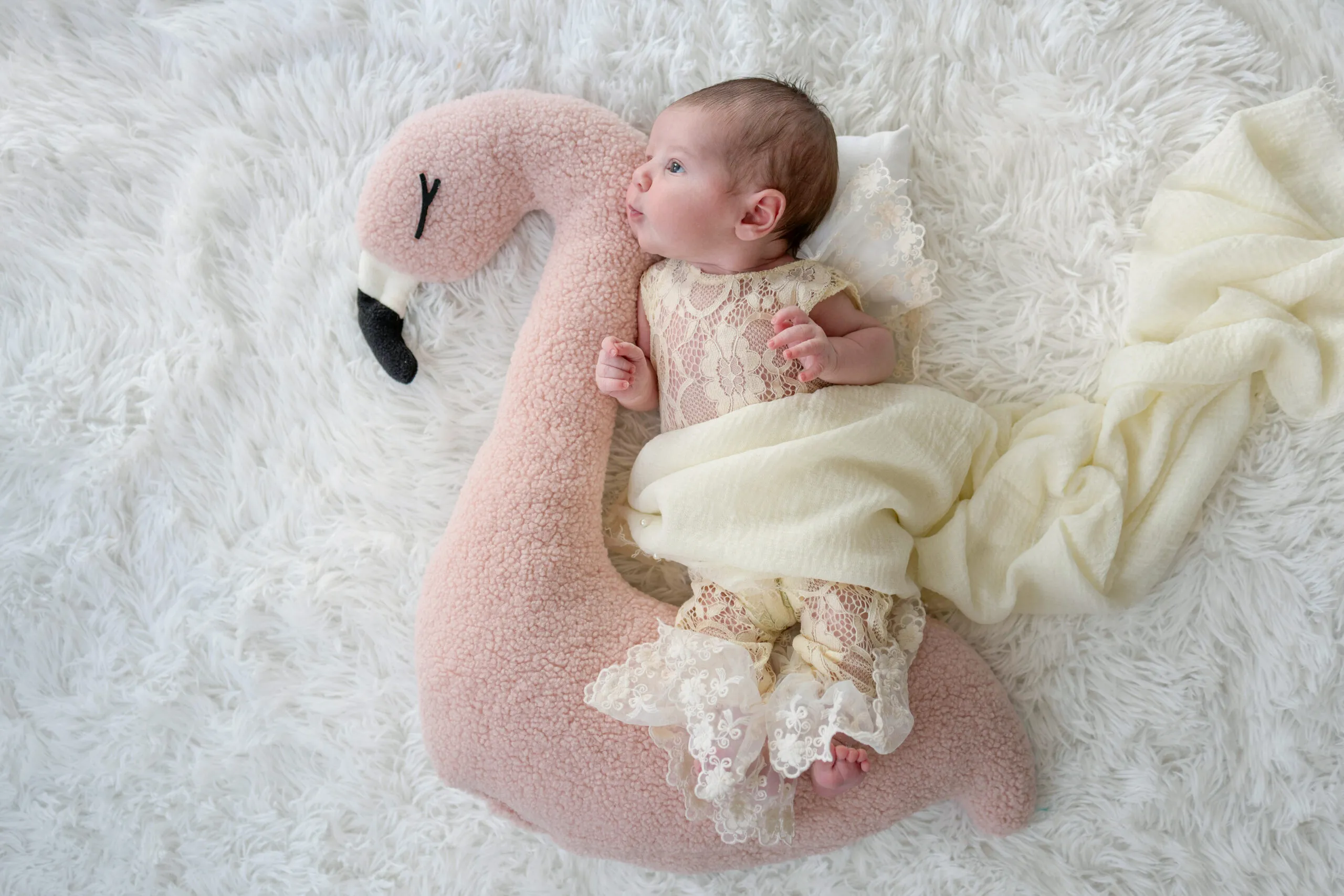 Servizio fotografico newborn a Roma, Arianna De Rossi