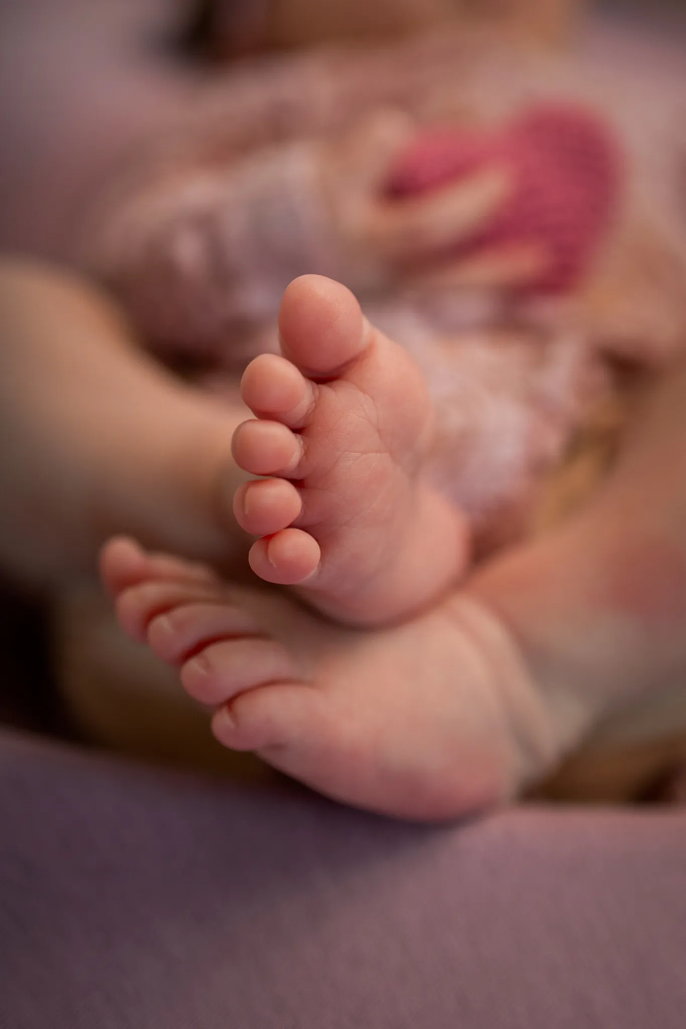 Servizio fotografico newborn a Roma, Arianna De Rossi